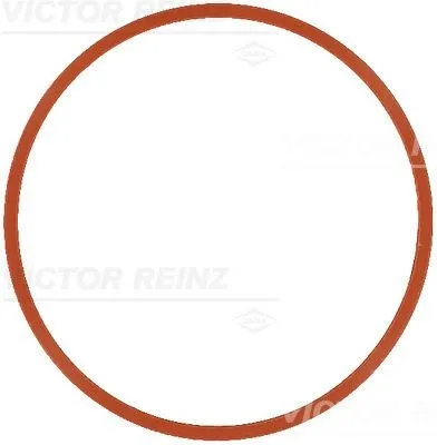 Insugspackning REINZ 71-17585-00