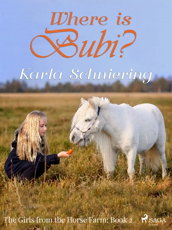 The Girls from the Horse Farm 2 – Where is Bubi?, E-bok