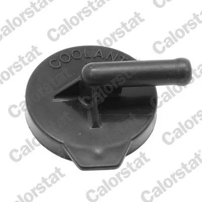 Lock till expansionskärl CALORSTAT by Vernet RC0178