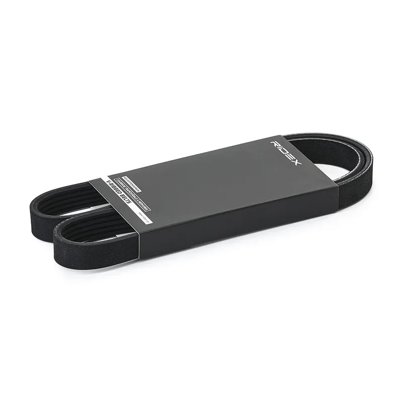 Multirem RIDEX 305P0558
