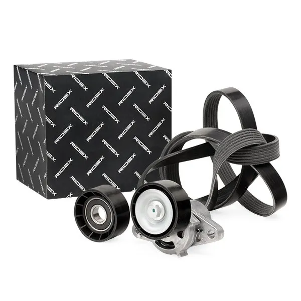 Drivremssats RIDEX 542R0082