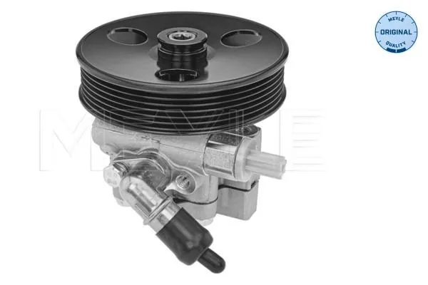 Servopump MEYLE 29-14 631 0004