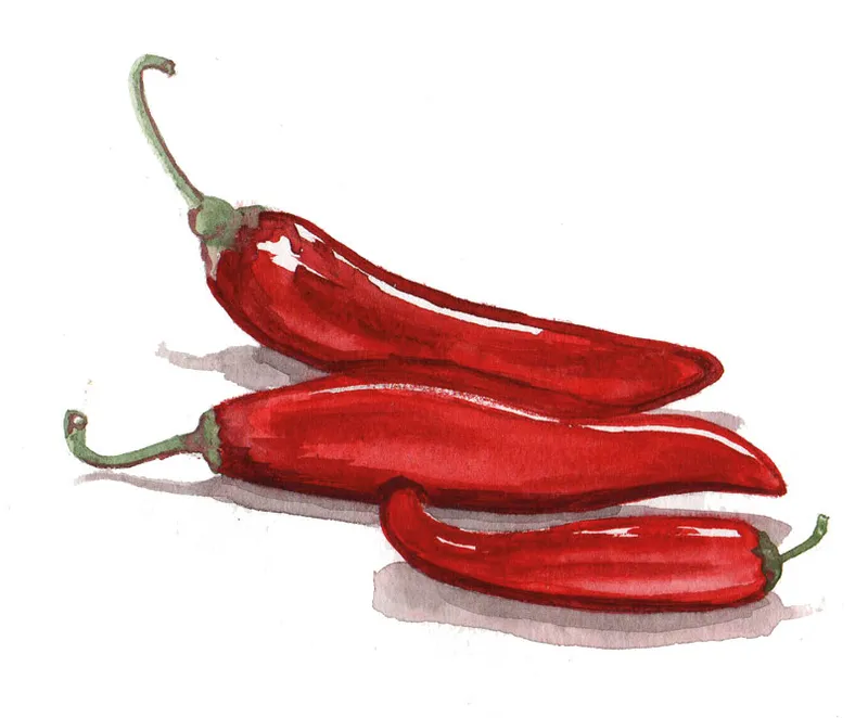 Chilipeppar Hungarian Boldog – Capsicum annuum Hungarian Boldog