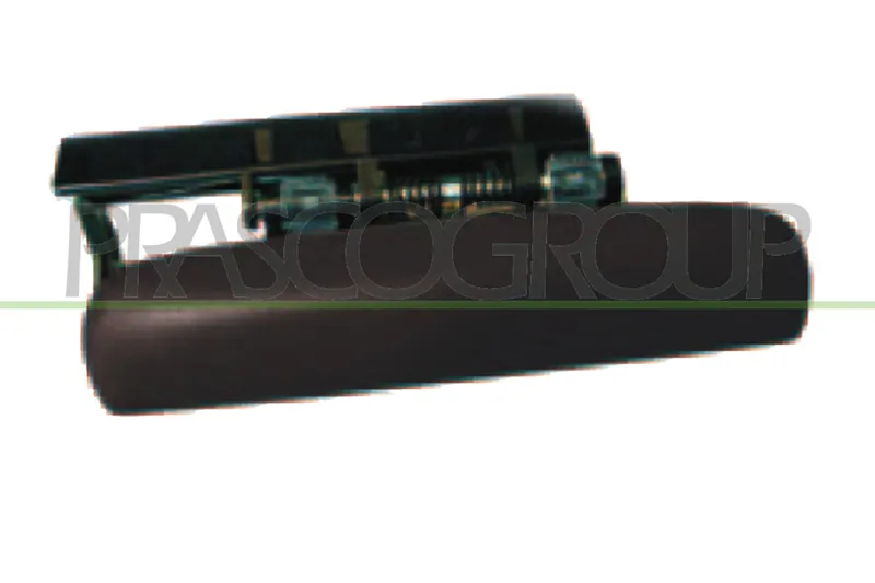 Dörrhandtag PRASCO CI4208003
