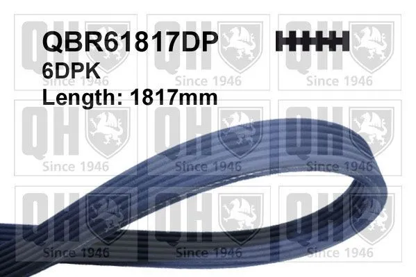Multirem Quinton Hazell QBR61817DP
