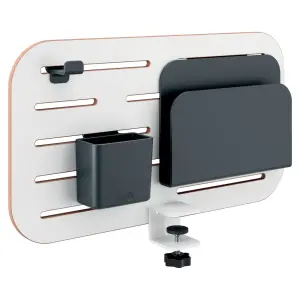 Leitz Ergo Litet Pegboard Skrivbordsorganisatör 42x25 Cm