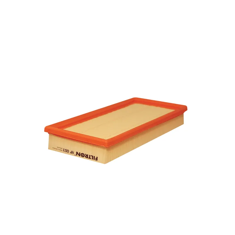 Luftfilter FILTRON AP 003