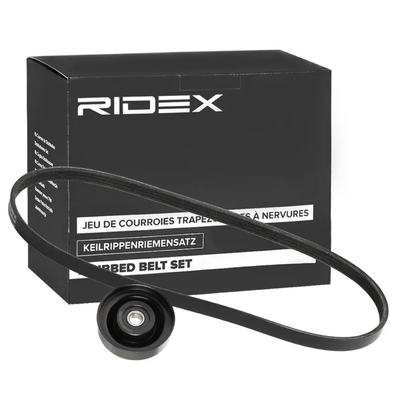 Drivremssats RIDEX 542R1013