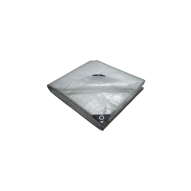 PRESENNING GRUNDA ARMERAD TRANSPARENT 180G 3X4M | Beijerbygg Byggmaterial
