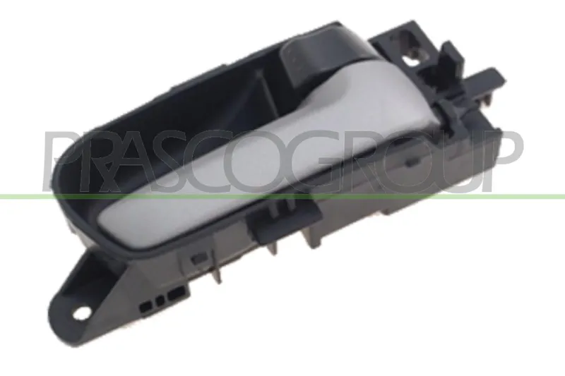 Dörrhandtag PRASCO SZ0568601