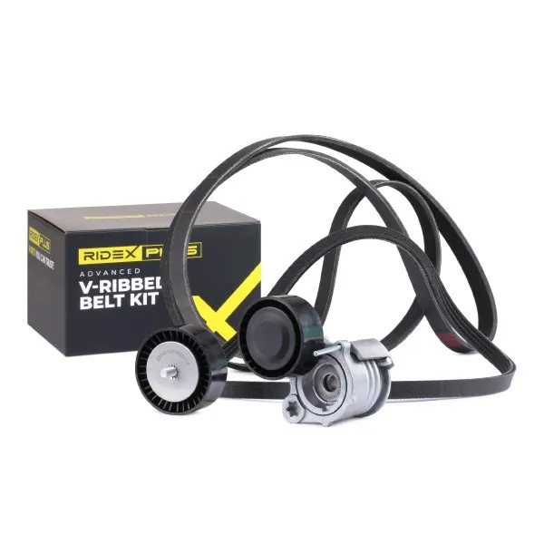 Drivremssats RIDEX PLUS 542R0402P