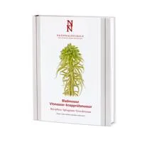 Bladmossor: Vitmossor knappnålsmossor: Bryophyta: Sphagnum-Tetrodontium