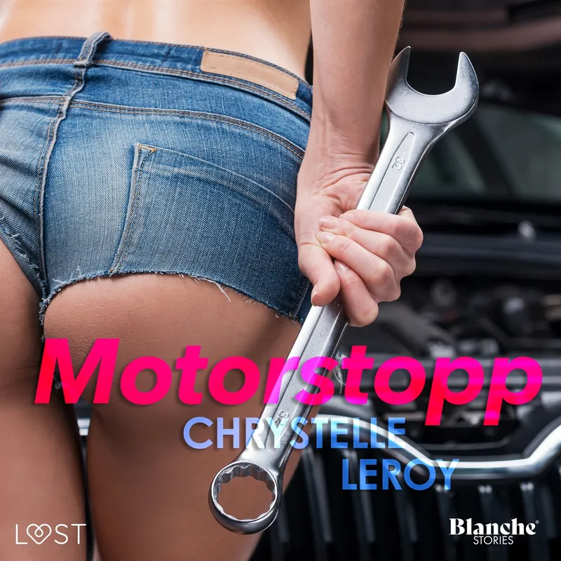 Motorstopp – erotisk novell, Ljudbok