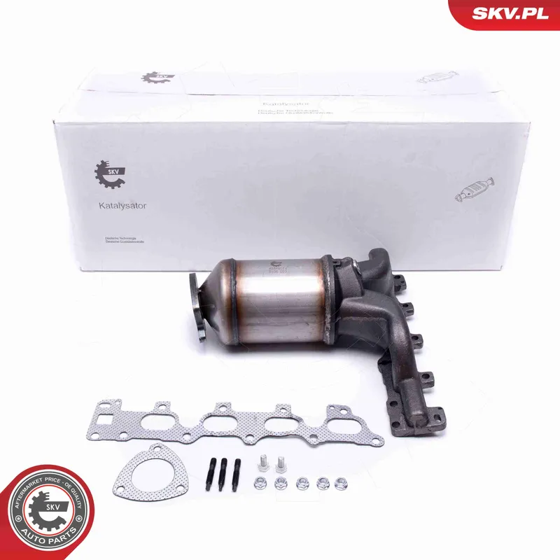 Katalysator ESEN SKV 62SKV014