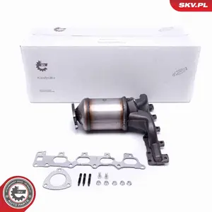 Katalysator ESEN SKV 62SKV014