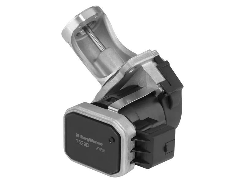EGR-ventil WAHLER 7529D