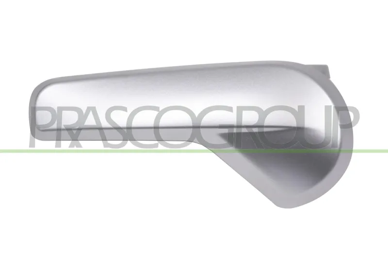 Dörrhandtag PRASCO VG4248708