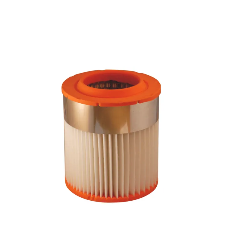Luftfilter FILTRON AR 371/1