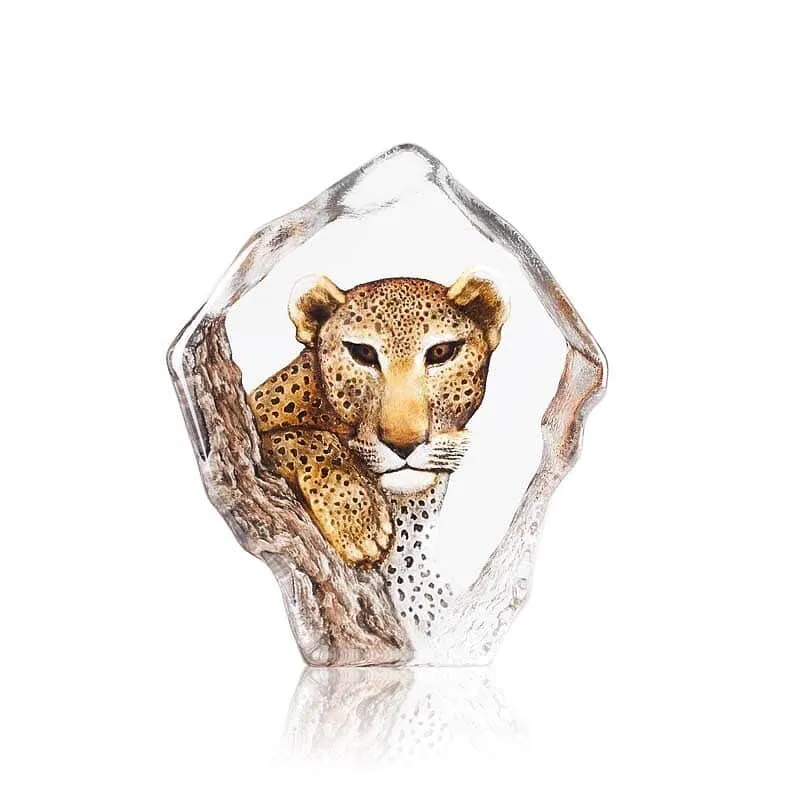 Målerås – The Big Five, Leopard Ltd Ed 299ex Design Mats Jonasson