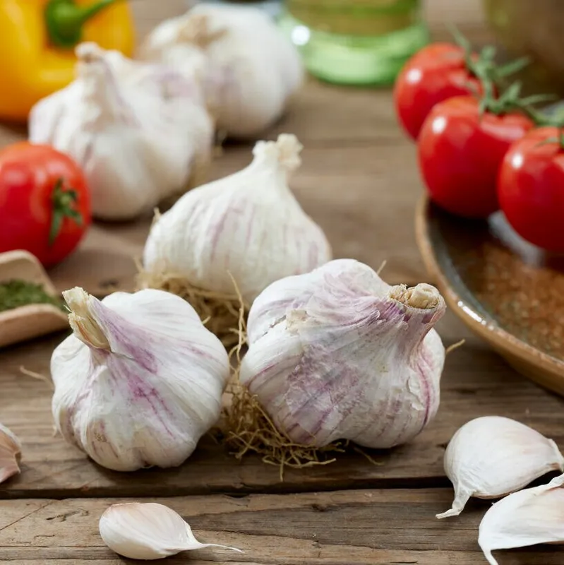 Vitlök Primor 2-pack - Allium sativum Primor