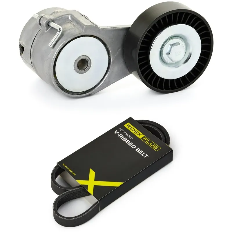 Drivremssats RIDEX PLUS 542R0212P