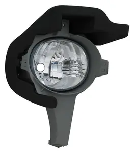Dimljus TYC 19-0585-01-2
