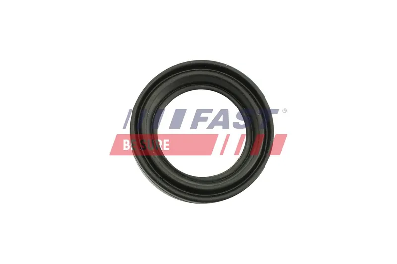 Renoveringssats, bromsok FAST FT32483