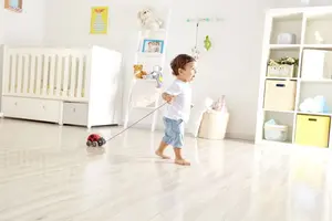 Hape, Pull Along Ladybug