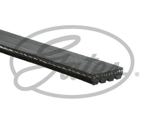 Multirem GATES 4PK798SF