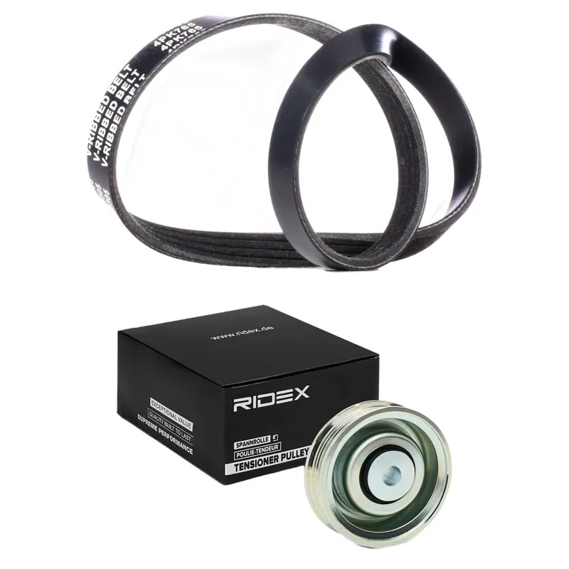 Drivremssats RIDEX 542R1098