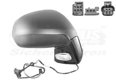 VAN WEZEL 0972808 Backspegel