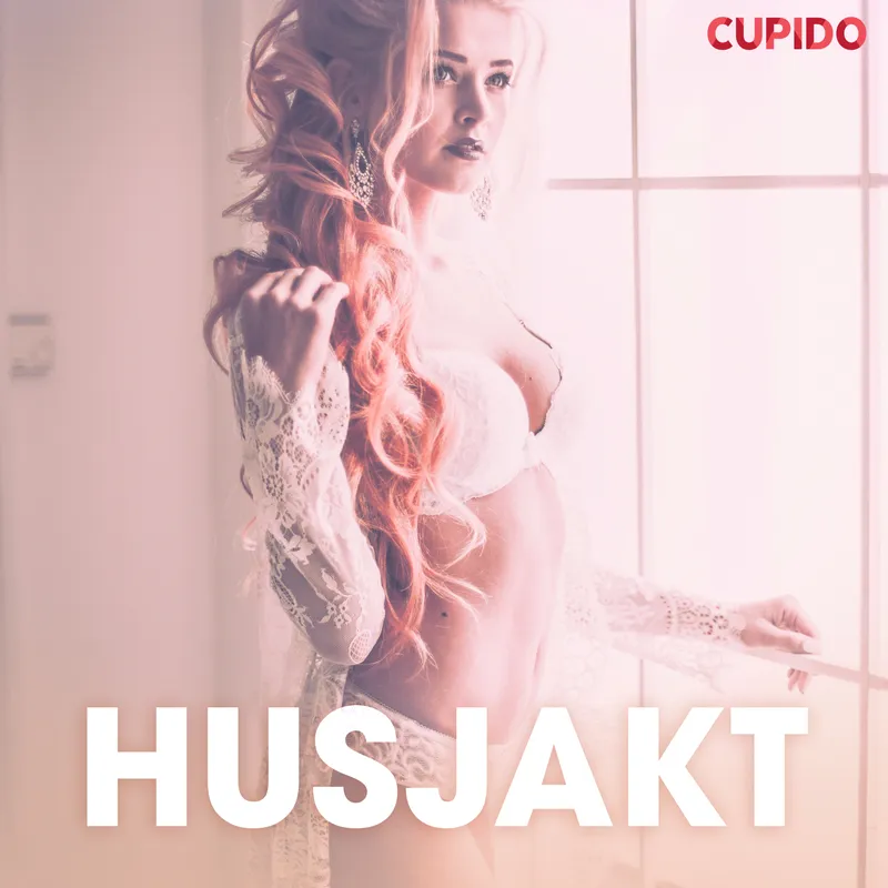 Husjakt – erotiska noveller, Ljudbok