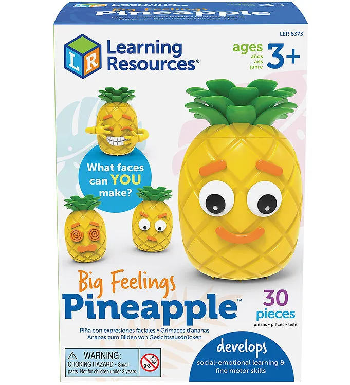 Lär dig om Känslor Aktivitetsset med Ananas Learning Resources