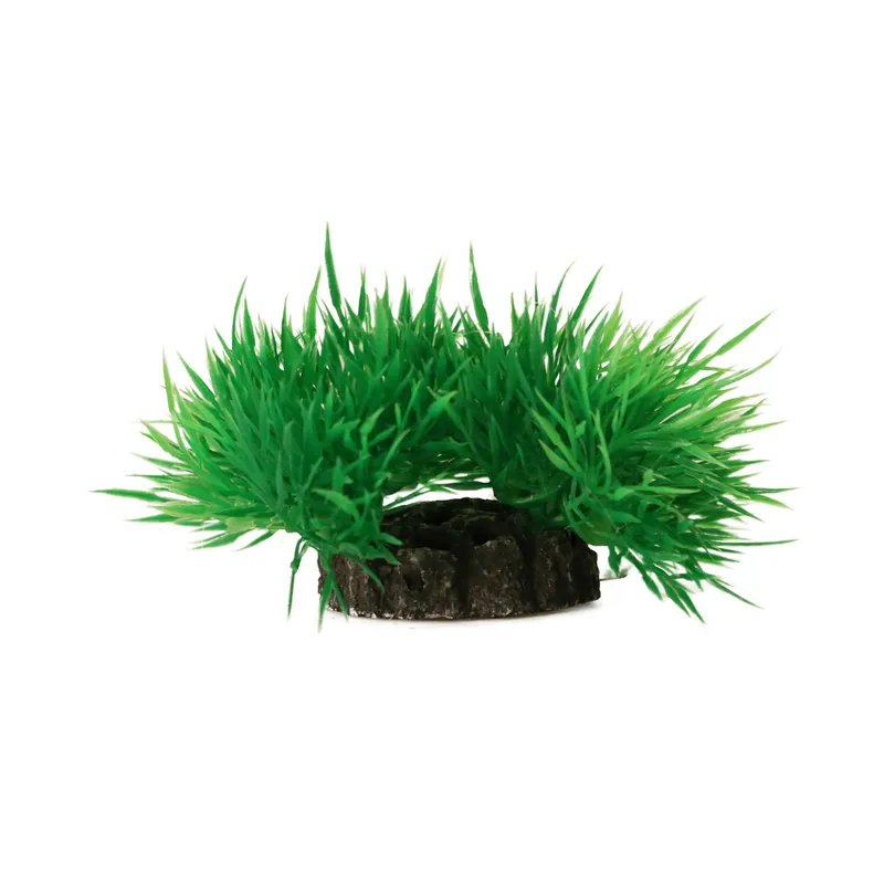 AQUAEL Dekorväxt 7cm