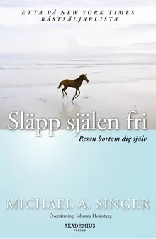 Bok Släpp själen fri – Michel A. Singer
