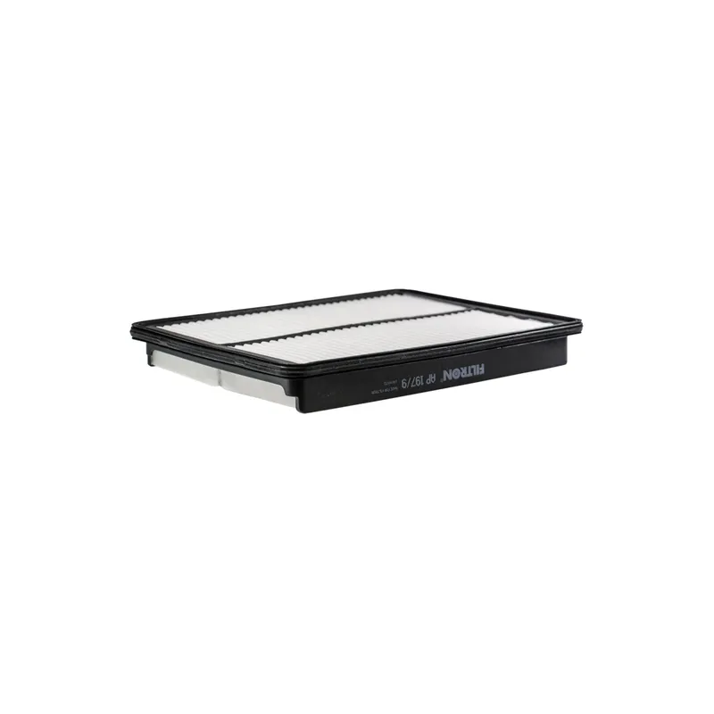 Luftfilter FILTRON AP 197/9
