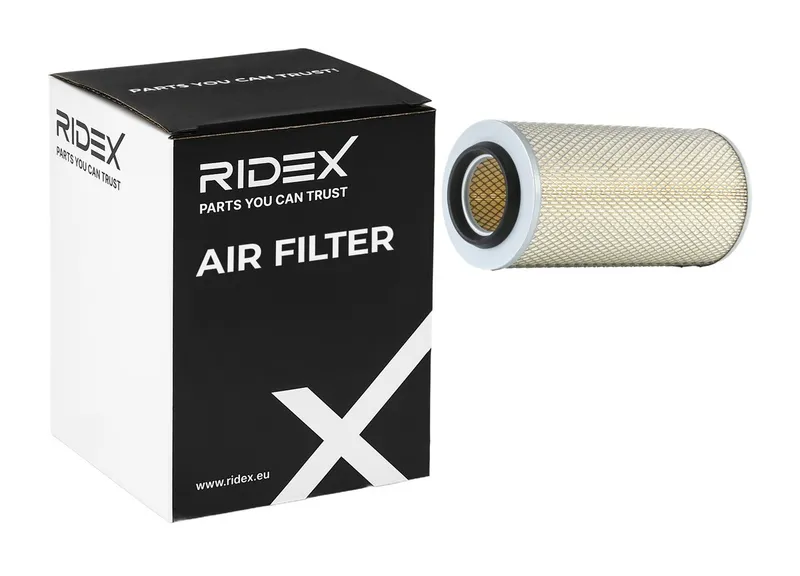 Luftfilter RIDEX 8A0493
