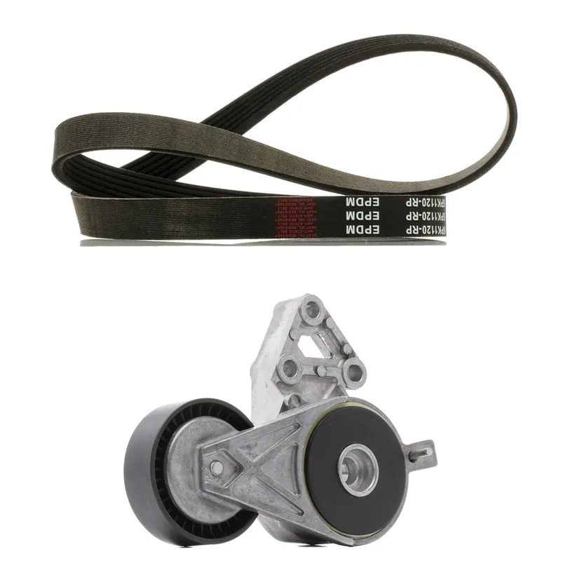 Drivremssats RIDEX PLUS 542R1350P
