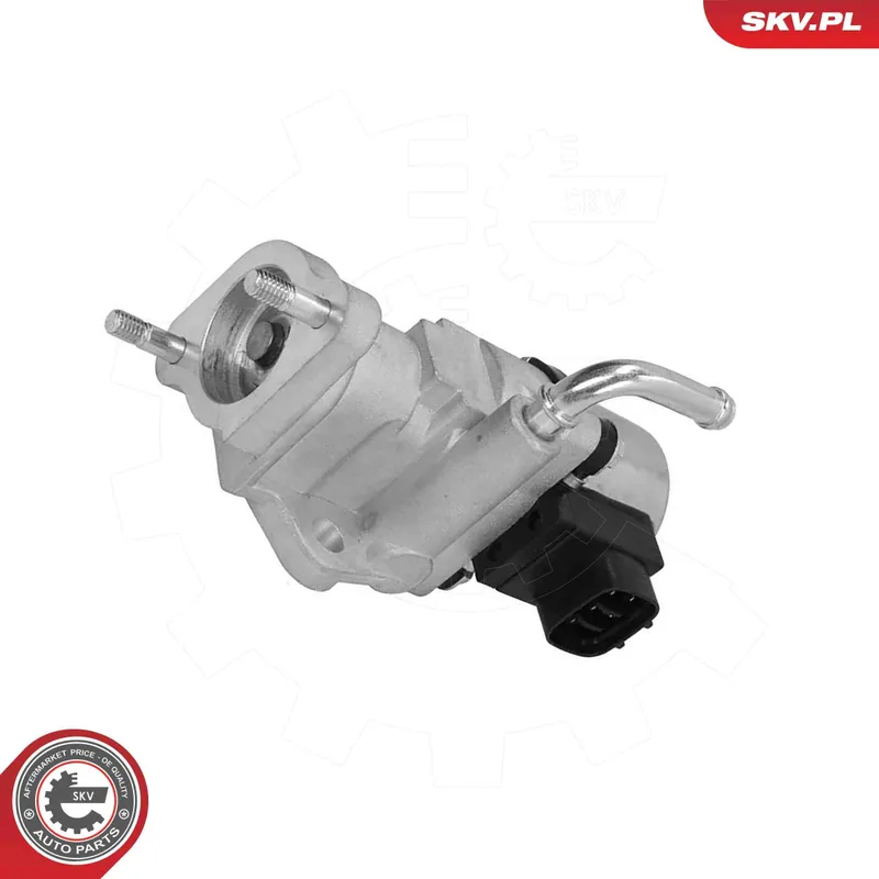 EGR-ventil ESEN SKV 14SKV319