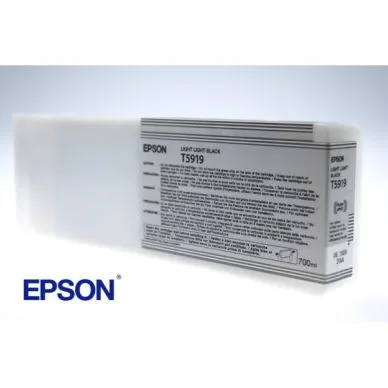 Epson T5919 Bläckpatron Ljussvart