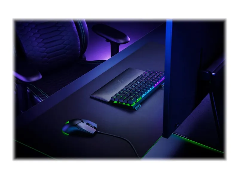 Razer Standard Edition – Handledsstöd – mini