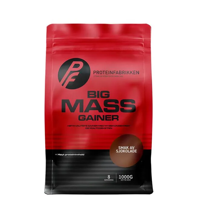 Big Mass Gainer, 1000 g - Jordbaer