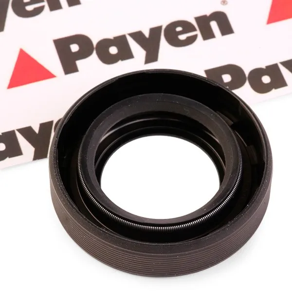 Oljetätningsring för differential PAYEN NA5204