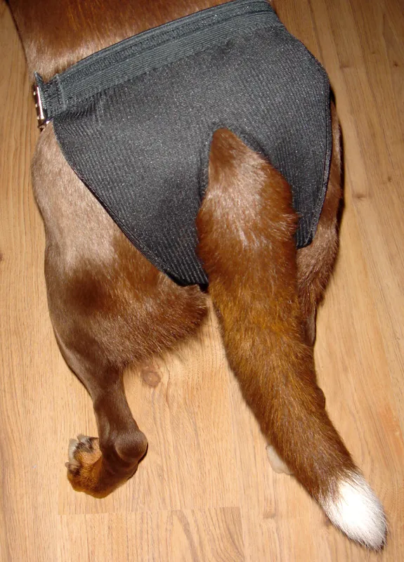 Dogman Adjustable Female Dog Diaper XS 16-28cm