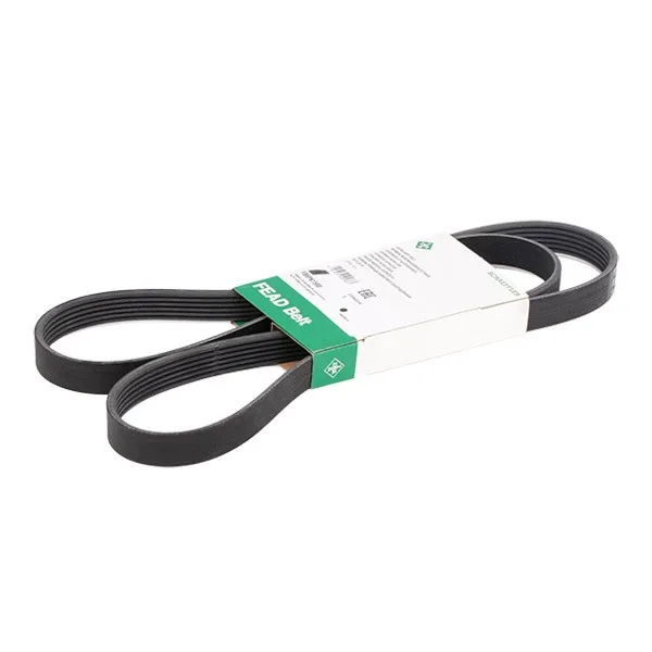 Multirem INA FB 6PK1580