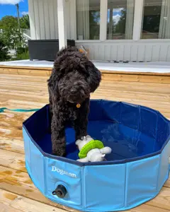 Hopfällbar hundpool, 160 cm