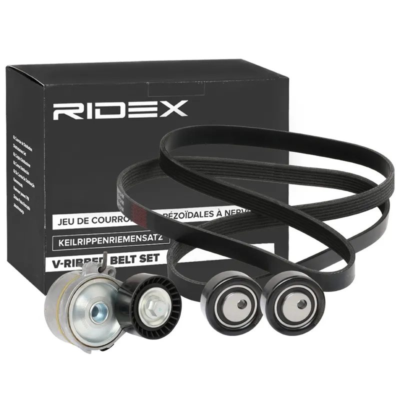 Drivremssats RIDEX 542R0860