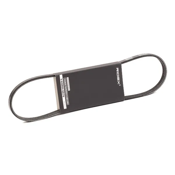 Multirem RIDEX 305P0381