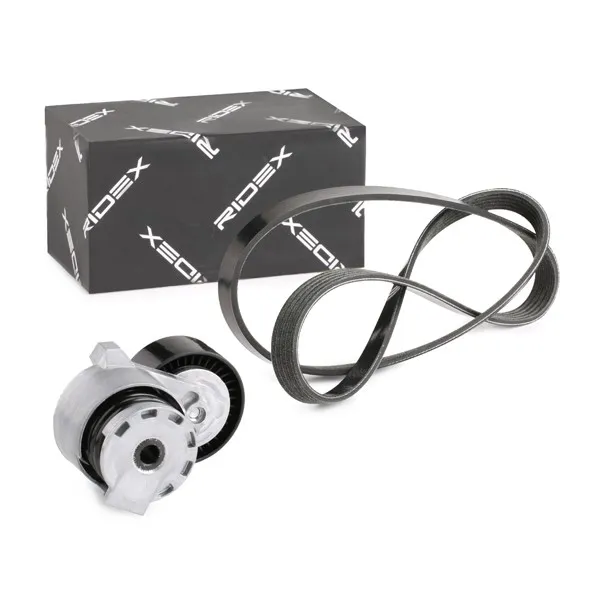 Drivremssats RIDEX 542R0011