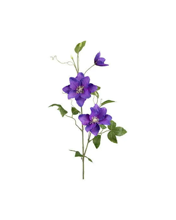 Klematis snittblomma blå